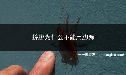 蟑螂为什么不能用脚踩(蟑螂为什么不能用脚踩死)