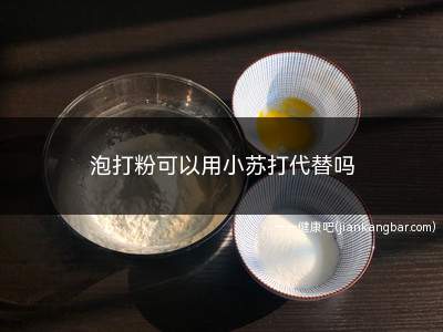 泡打粉可以用小苏打代替吗(小苏打粉不能取代泡打粉)