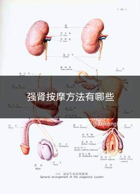 强肾按摩方法有哪些(强肾补肾可以选择按摩以下5个穴位)