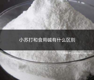 小苏打和食用碱有什么区别(小苏打是碳酸氢钠的俗称)