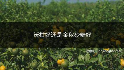 沃柑好还是金秋砂糖好(沃柑和金秋砂糖橘都是杂交类柑橘)