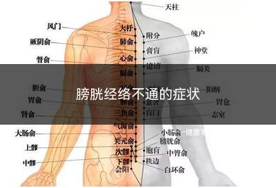 膀胱经络不通的症状(膀胱经络的循行是从头到脚的)