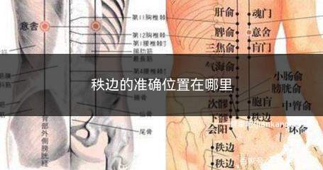 秩边准确位置图和作用及功效(秩边定位的准确位置图)