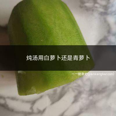 炖汤用白萝卜还是青萝卜(白萝卜和青萝卜有什么区别)