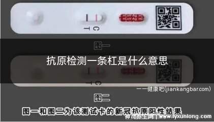 抗原检测一条杠是什么意思(抗原检测试剂一般会显示C和T两个位置的线条)