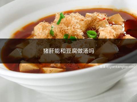 猪肝能和豆腐做汤吗(猪肝能和豆腐做汤吗窍门)