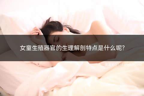 女童生殖器官的生理解剖特点是什么(子宫颈与子宫体之比呈2:1)