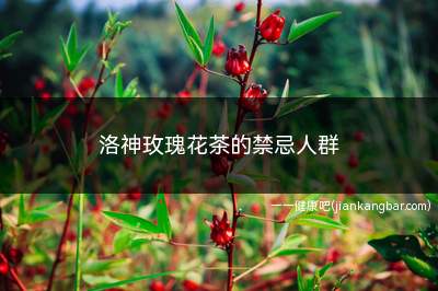 洛神玫瑰花茶的禁忌人群(孕妇不适宜喝洛神玫瑰花茶)