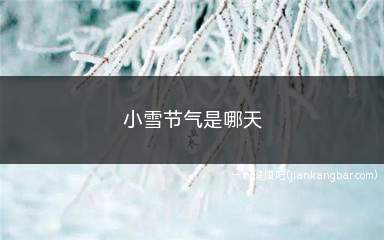 小雪节气是哪天(小雪节气在每年的11月22日左右到来)