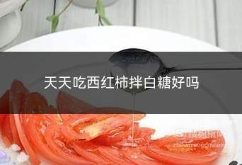 天天吃西红柿拌白糖好吗(西红柿和白糖有什么区别)