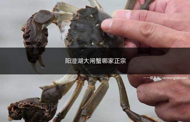 阳澄湖大闸蟹哪家正宗(阳澄湖大闸蟹行业协会会员单位售卖)