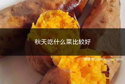 秋天吃什么菜比较好(秋天吃什么菜比较好呢)