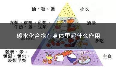 碳水化合物在身体里起什么作用(碳素化合物在人体中的主要作用)