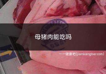 母猪肉能吃吗(教你怎么识别母猪肉)