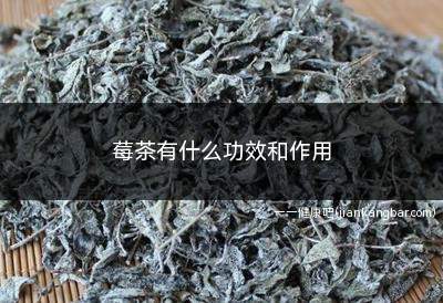 莓茶有什么功效和作用(莓茶能清理人体血液中的多种毒素)