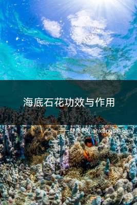 海底石花功效与作用(清肺化痰海底石花的功效)