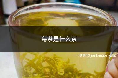 莓茶是什么茶(莓茶是从葡萄藤的茎叶再加工而成的)