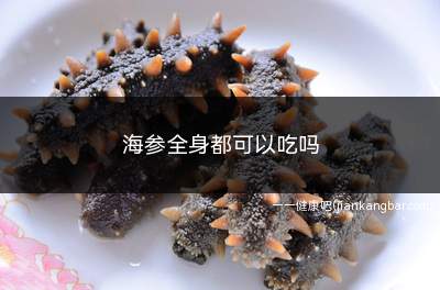 海参全身都可以吃吗(海参全都可以吃吗)