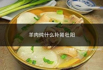 羊肉炖何首乌红参枸杞(羊肉炖什么药材补肾壮阳)