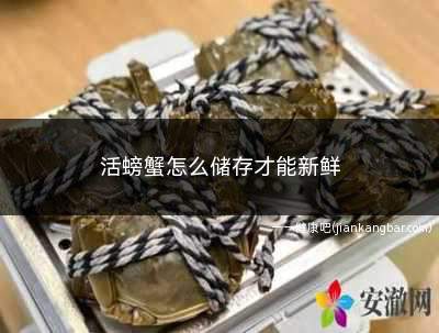 活螃蟹怎么储存才能新鲜(螃蟹养殖注意事项有哪些)