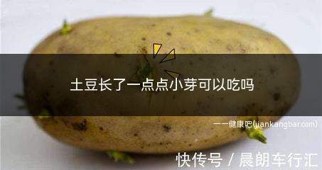 土豆长了一点点小芽可以吃吗(土豆发芽会分泌一种有害成分吗)