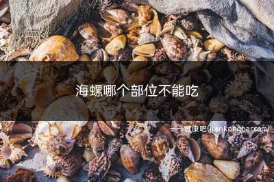 海螺哪个部位不能吃(海螺的背部绿色区域有哪些)