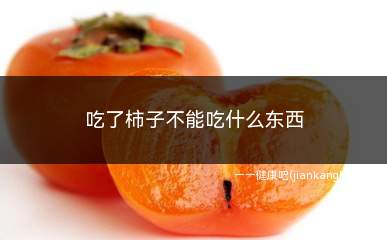 吃了柿子不能吃什么东西(富含蛋白质的食物)