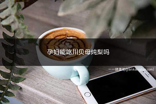 孕妇能吃川贝母炖梨吗(川贝母炖雪梨的功效与作用)