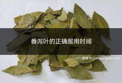 番泻叶的正确服用时间(饭后服用番泻叶有什么好处)