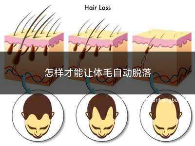 怎样才能让体毛自动脱落(体毛是由皮肤毛囊生长出来的吗)