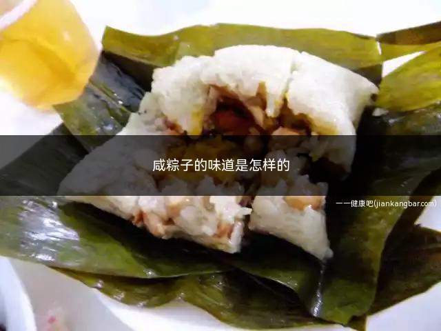 咸粽子的味道是怎样的(咸粽子是什么味道)