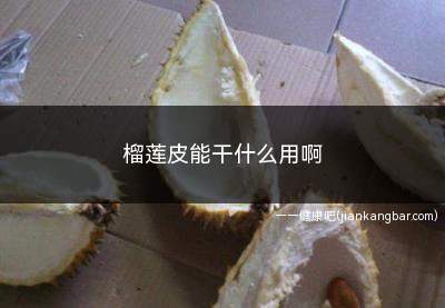 榴莲皮能干什么用啊(榴莲皮的功效与作用)