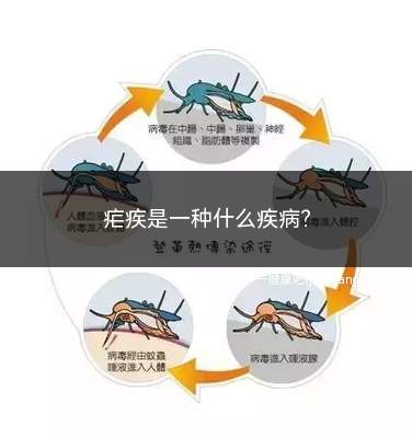 疟疾是一种什么疾病(疟疾是疟原虫引起的疾病)