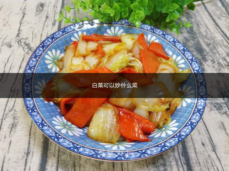 白菜可以炒什么菜(白菜炒肉末的做法)