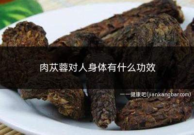 肉苁蓉对身体有什么好处(长期喝肉苁蓉水对身体有副作用吗)