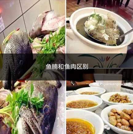 鱼腩和鱼肉区别(鱼腩和鱼腩有什么区别)