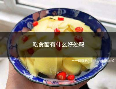 吃食醋的好处与坏处(吃食醋有什么功效)