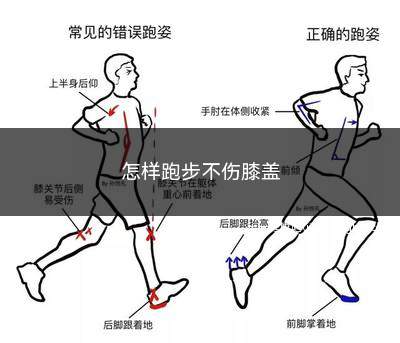 怎样跑步不伤膝盖(跑步的速度和强度应该循序渐进)