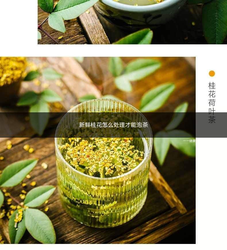 新鲜桂花怎么处理才能泡茶(新鲜桂花烘干后才能泡茶喝)