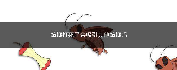 蟑螂死了会不会吸引蟑螂(打死蟑螂会有更多蟑螂吗)
