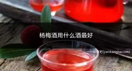 杨梅酒用什么酒最好(建议选择40)