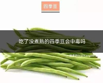 吃了没煮熟的四季豆会中毒吗(吃了没煮熟的四季豆可能会导致食物中毒)