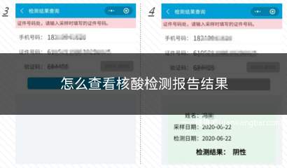 怎么查看核酸检测报告结果(网上查询个人核酸检测结果)