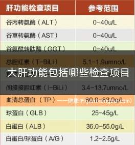 大肝功检查正常说明什么(肝功能检查项目费用多少钱)