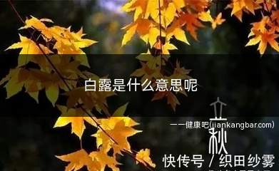 白露是什么意思呢(白露是什么意思意味着什么)