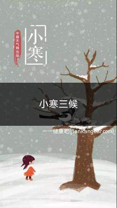 小寒三候(小寒三候分别是什么)