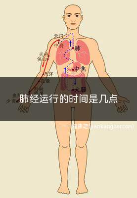 肺经运行的时间是几点(肺经疏通的最好方法)