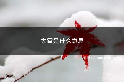 大雪是什么意思(大雪是什么意思意味着什么)